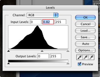 Screenshot of the PhotoShop Levels dialog